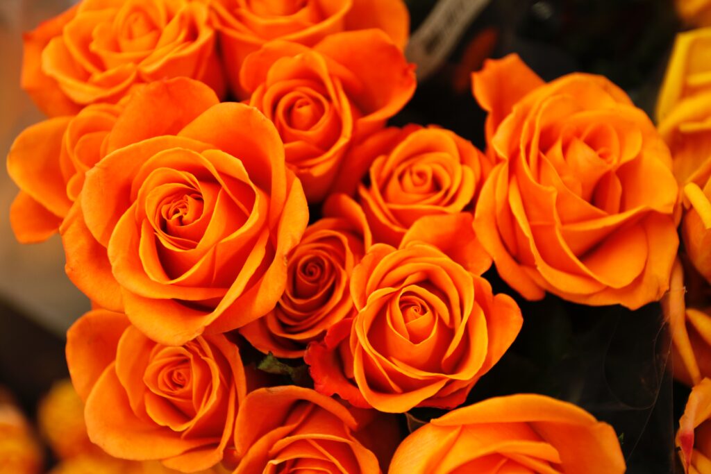 Blumen bestellen